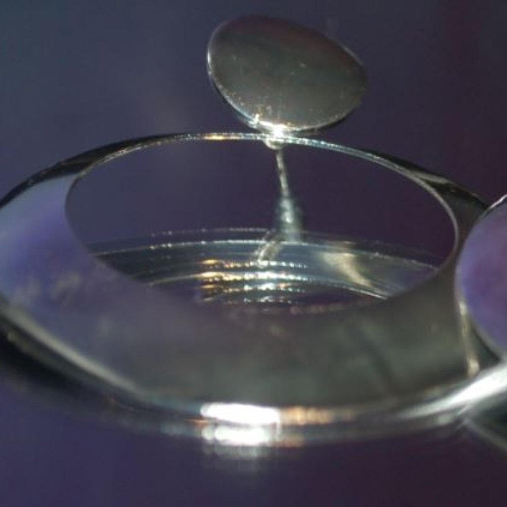 Gorgeous Earrings - Stocking Stuffer - Never Worn